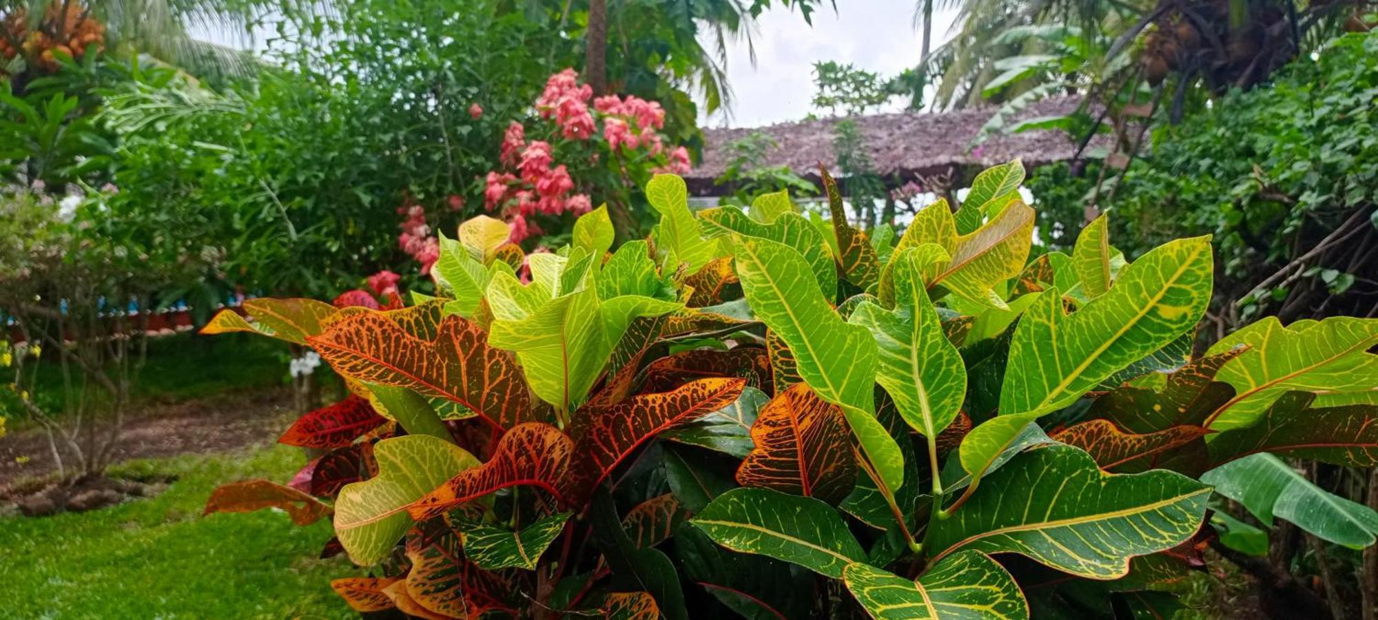 Piscine Bimoko Hotel Nosy-Be Eksteriør billede